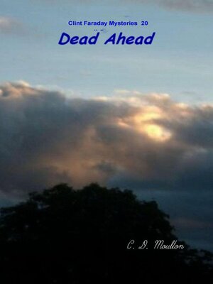 cover image of Dead Ahead